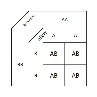 How are the symbols written for alleles that share incomplete dominance?   tysm ily ; )