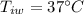 T_{iw}=37^{\circ}C