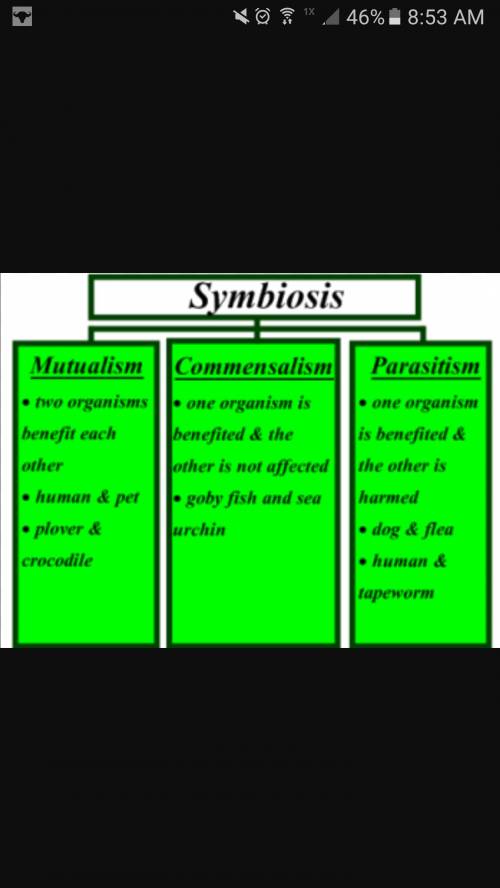 Describe the two types of competition. the symbiosis type of competition to clarify.