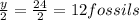 \frac{y}{2} = \frac{24}{2} =12 fossils