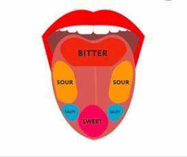 Which of the following is true about gustatory receptors?   1. the receptors generate an action pote