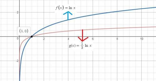 Below is the graph of f(x)=in(x). how would you describe the graph of g(x)=1/3in(x)