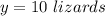 y=10\ lizards