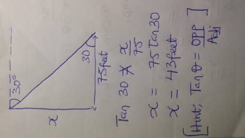 The angle of depression from the top of a flag pole to a point on the ground is 30°. if the point on