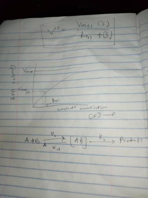 Find the initial velocity for an enzymatic reaction when vmax = 6.5 x 10–5 mol•sec–1 , [s] = 3.0 x 1