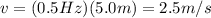 v=(0.5 Hz)(5.0 m)=2.5 m/s