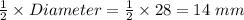 \frac{1}{2}\times Diameter = \frac{1}{2}\times 28 = 14 \ mm