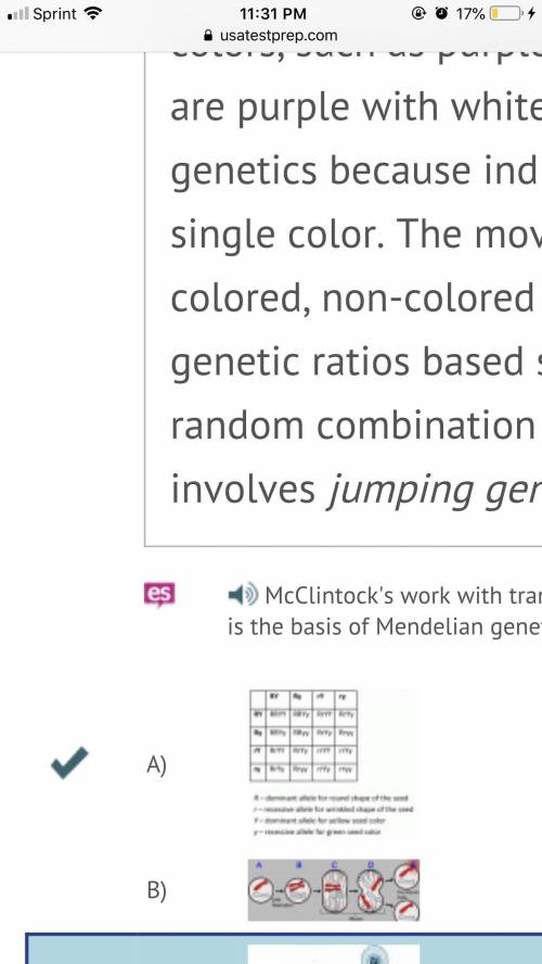 Mcclintock's work with transposons calls into question the model of inheritance patterns we have lea