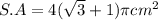 S.A = 4 (\sqrt{3}+1)\pi cm^2