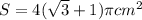 S = 4( \sqrt{3}+1)\pi  cm^2