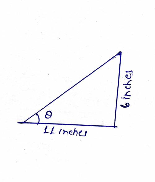 The legs of a right triangle measure 6 inches and 11 inches. what is the measure of the smallest ang