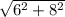 \sqrt{6^{2}+ 8^{2}}