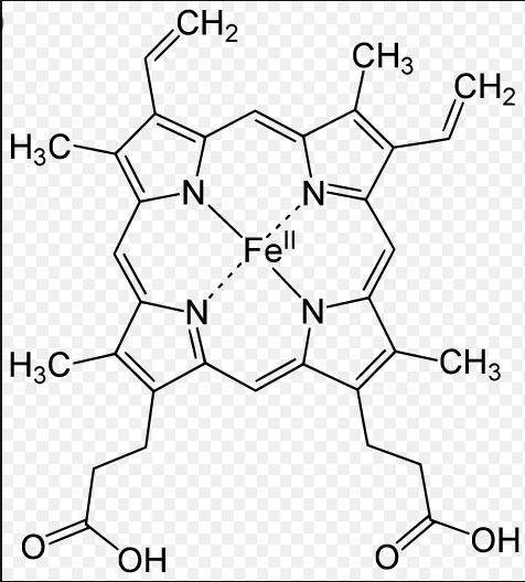 Hemoglobin in your blood does not use elemental iron. it uses iron in the form of fe2+(aq).  iron re