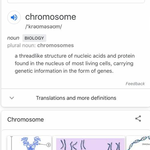 Which of the following are linear strands of dna and proteins that carry transferable hereditary inf