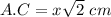 A.C=x\sqrt{2}\ cm