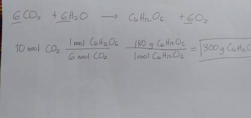 What mass in grams of glucose can be produced from a photosynthesis reaction that occurs using 10 mo
