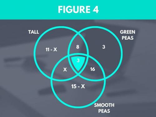 After a genetics experiment on 61 pea plants, the number of plants having certain characteristics wa