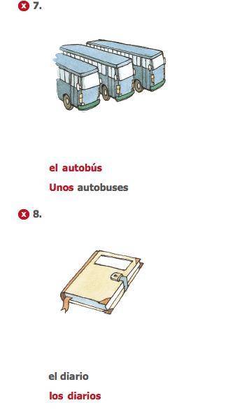 For each drawing, provide the noun with its corresponding definite and indefinite articles. follow t