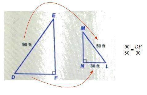 What is the length to f segment df?