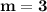 \mathbf{m = 3}