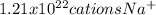 1.21x10^{22}cationsNa^+