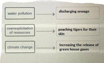 Match the activities with their ecological effects