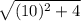 \sqrt{(10)^2+4}