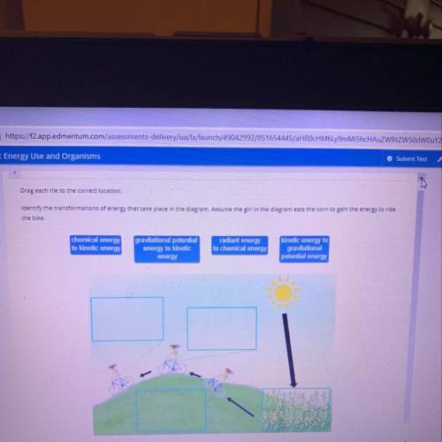 Identify the transformation of energy that take place in the diagramassume the girl in the diagram i