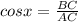 cos x  =\frac{BC}{AC}