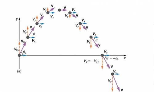 A projectile is fired with an initial speed of 30 m/s at an angle of elevation of 30°. Find the foll