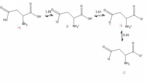 Determine the net charge of the predominant form of Asp at (a) pH 1.0, (b) pH 3.0, (c) pH 6.0, and (