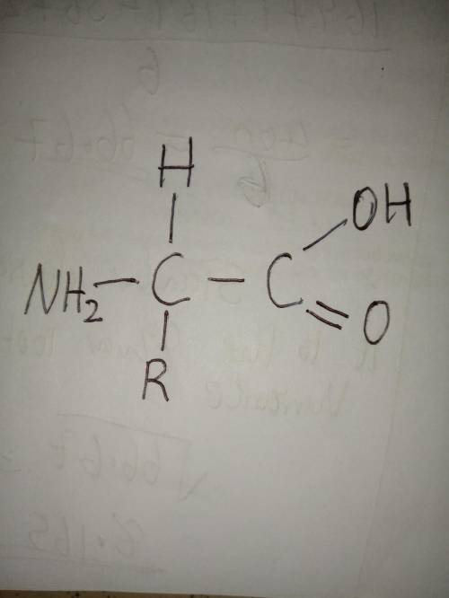 Polar R groups of closely positioned amino acids often enter into  with each other, which helps give