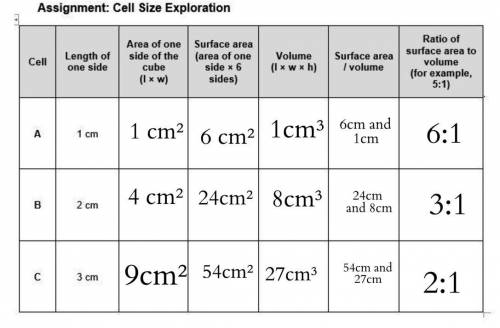 All the squares outlined on the model cells are 1 cm by 1 cm. .Each face of Cube A measures 1 cm lon