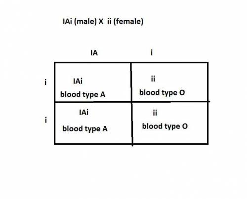 A woman with type O blood is expecting a child. Her husband is type A. Both the woman's father and h