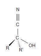 Provide the structure of the cyanohydrin that results when cyclopentanone reacts with hcn.