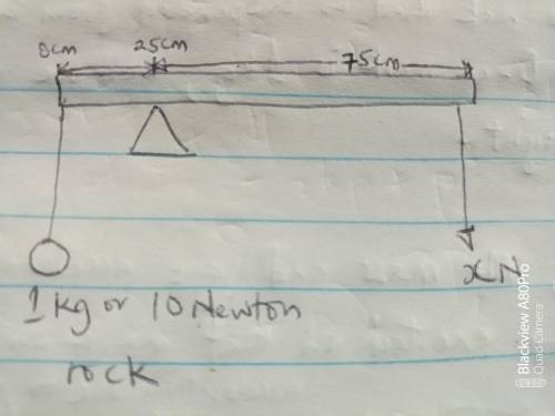 A 1-kg rock is suspended from the tip of a meter stick at the 0-cm mark so that the meter stick bala