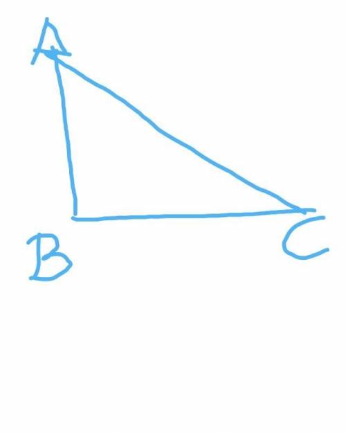 Find the original height of the tree, explain