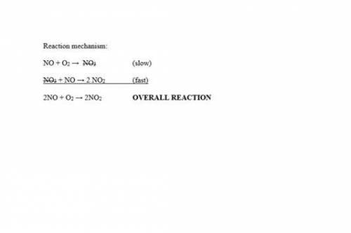 The reaction 2NO + O2 → 2NO2 is third order. Assuming that a small amount of NO3 exists in rapid rev