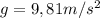 g=9,81m/s^2