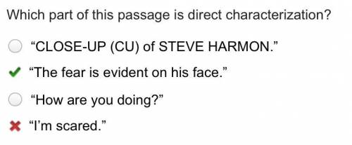 Which part of this passage is direct characterization? O CLOSE-UP (CU) of STEVE HARMON.” O The fea
