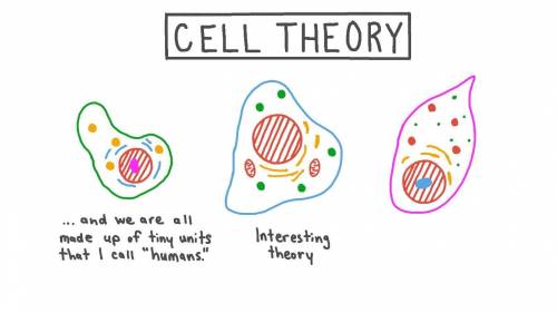 Which are the main points of the cell theory? Select all that apply. A. Cells are the basic units of