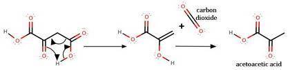 Oxaloacetic acid (2-ketosuccinic acid) is a very important intermediate in metabolism. The compound
