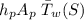 h_pA_ p\left \bar T_{w}(S)\right.