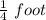 \frac{1}{4} \ foot