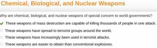 Why are chemical, biological, and nuclear weapons of special concern to world governments? These wea