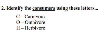 Identify the consumers using these letters...