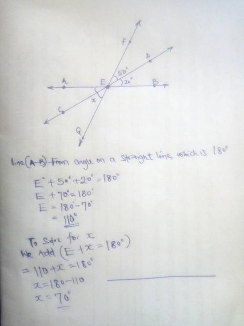 Please help what does x equal?