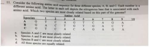 Consider the following amino acid sequence for three different species, A, B, and C. Each number is