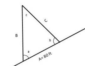 A tree growing on a hillside makes a 75° angle with the hill. From a point 80 feet up the hill, the