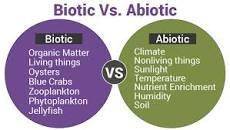 What's the difference between biotic and abiotic?